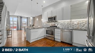 1729 N Clybourn Ave Unit D Chicago, IL Laricy Properties Drone Tour Listing Video