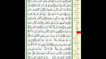 521 سورة الذاريات ترتيل