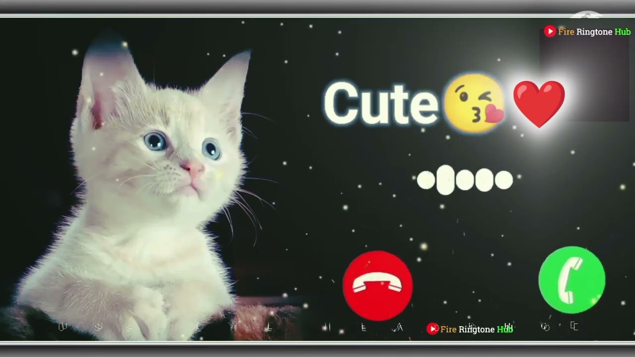 Cute Cat Baby message || ringtone SMS tune notification tone new 2024