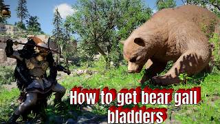How to get bear gall bladders (rubber, mercury and brimstone easily)