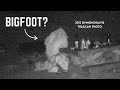 Bigfoot trailcam photo    simmonsdavies