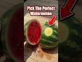 How To Pick The Perfect Sweet Watermelon Every Single Time 🍉