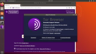 Setup and example a new identity Tor browser 9.0.5 in Ubuntu 18.04,19.10 Wealth
