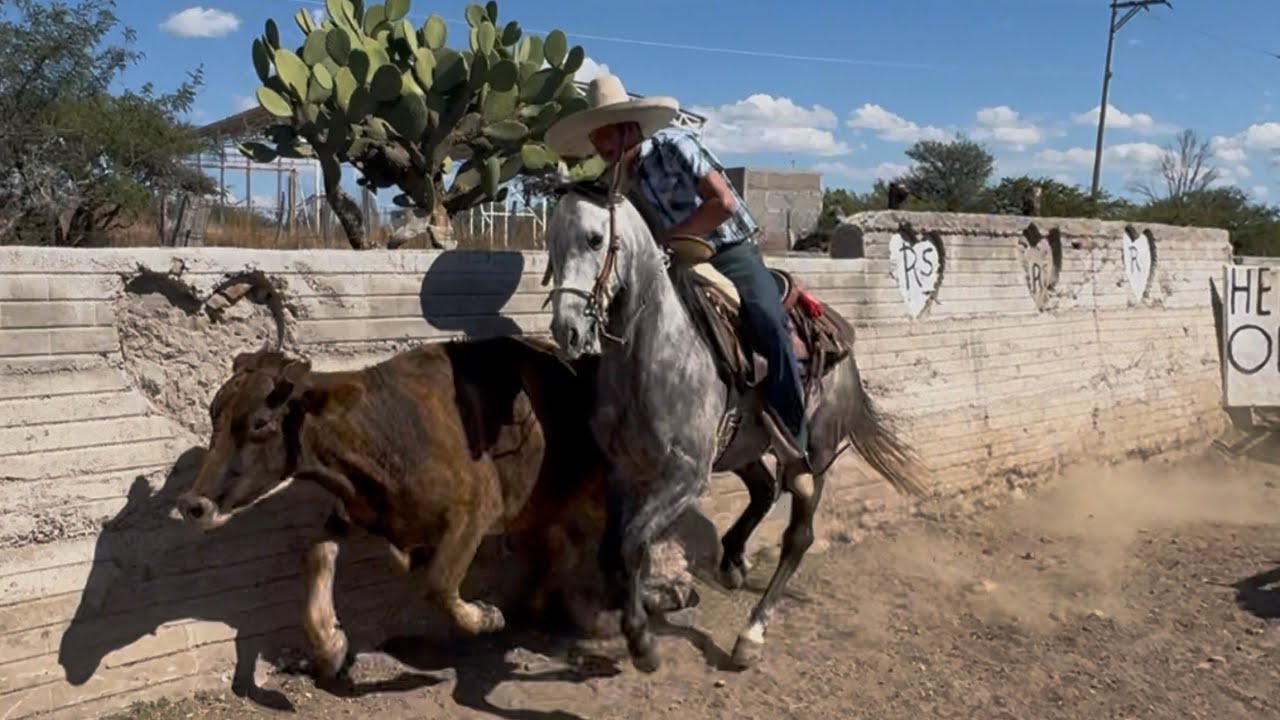 DESDE NIÑO FUE MI SUEÑO TENER UN CABALLO Y SER LO QUE HOY SOY