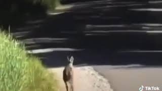 Tik Tok ..... Sofía 26Anny Sofía.....