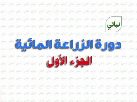 فيديو: أين تجد نموذج طلب لخصم ضريبي للأطفال