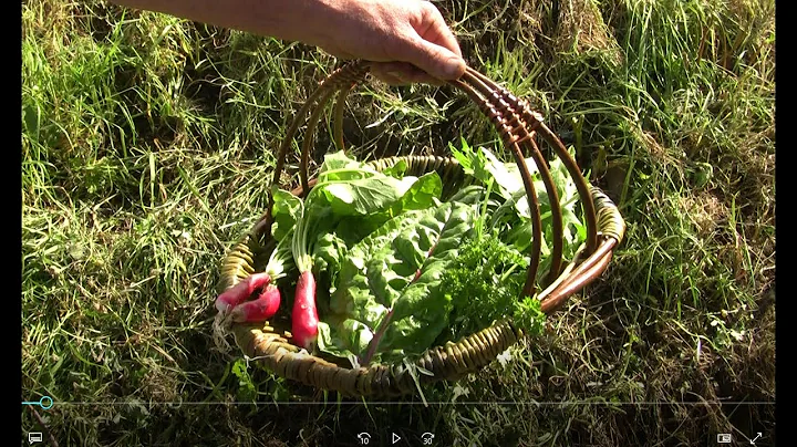 Garden Trug - Weave Your Own - An Introduction with Brendan Farren