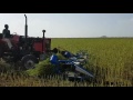 Yapel cdg 300 reaper binder sickle  harvesting machine sesame harvesting 5 sudan 20102016
