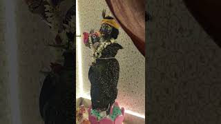 Shri Krishna #new #love #fanie #shortvideos #viral #song #comedyvideos #sad #comedyshorts #tamil