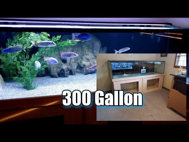300 gallon custom aquarium