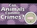 Can Animals Commit Crimes?