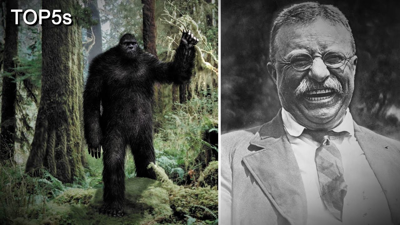5 Most Believable Sightings, Stories & Encounters with Bigfoot