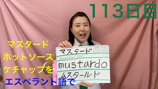 【113日目】料理つづき■ マスタード　■ ケチャップ　■ ホットソース　をエスペラント語で‼️  #語学 #暗記 #リズム #チャレンジ #簡単 #自己肯定感 #進化