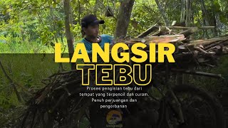 Muat Tebu Juga Langsir Seperti Truk Cabe || Umplung 1991 ||