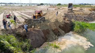 Unique Activities Operator Bulldozer Push Soil and Dump Truck Talent Land Filling Up Construction