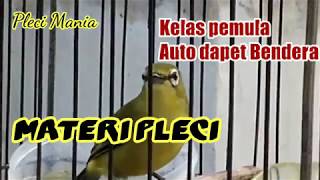 Materi pleci