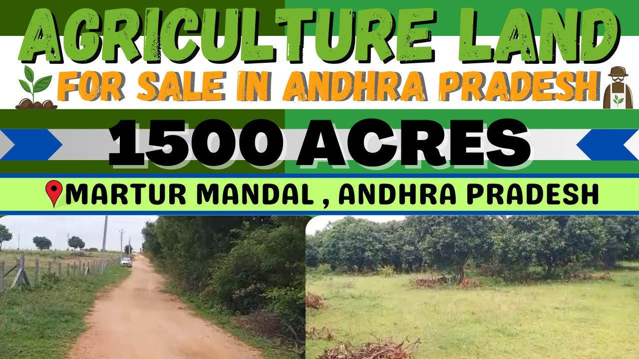GUNTUR 1500 ACRES CHEAP AGRICULTURE LAND FOR SALE VINUKONDA