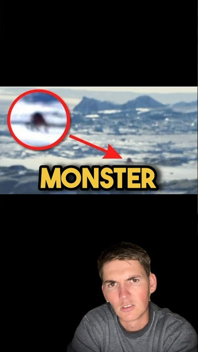 Antarctica Giant Spider Cryptid Explained 😟