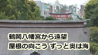 祝い酒 坂本冬美 hide560 鶴岡八幡宮 大仏 源頼朝 鎌倉 77