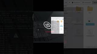How To Customize Your Linux Mint Desktop