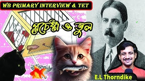 Primary interview 2024 // Biswadip Nandi // Nandi Academy