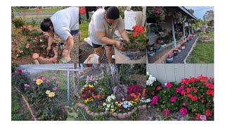 trasplantando las nuevas plantas que trajimos de la tienda y cómo se encuentra el jardín de flores