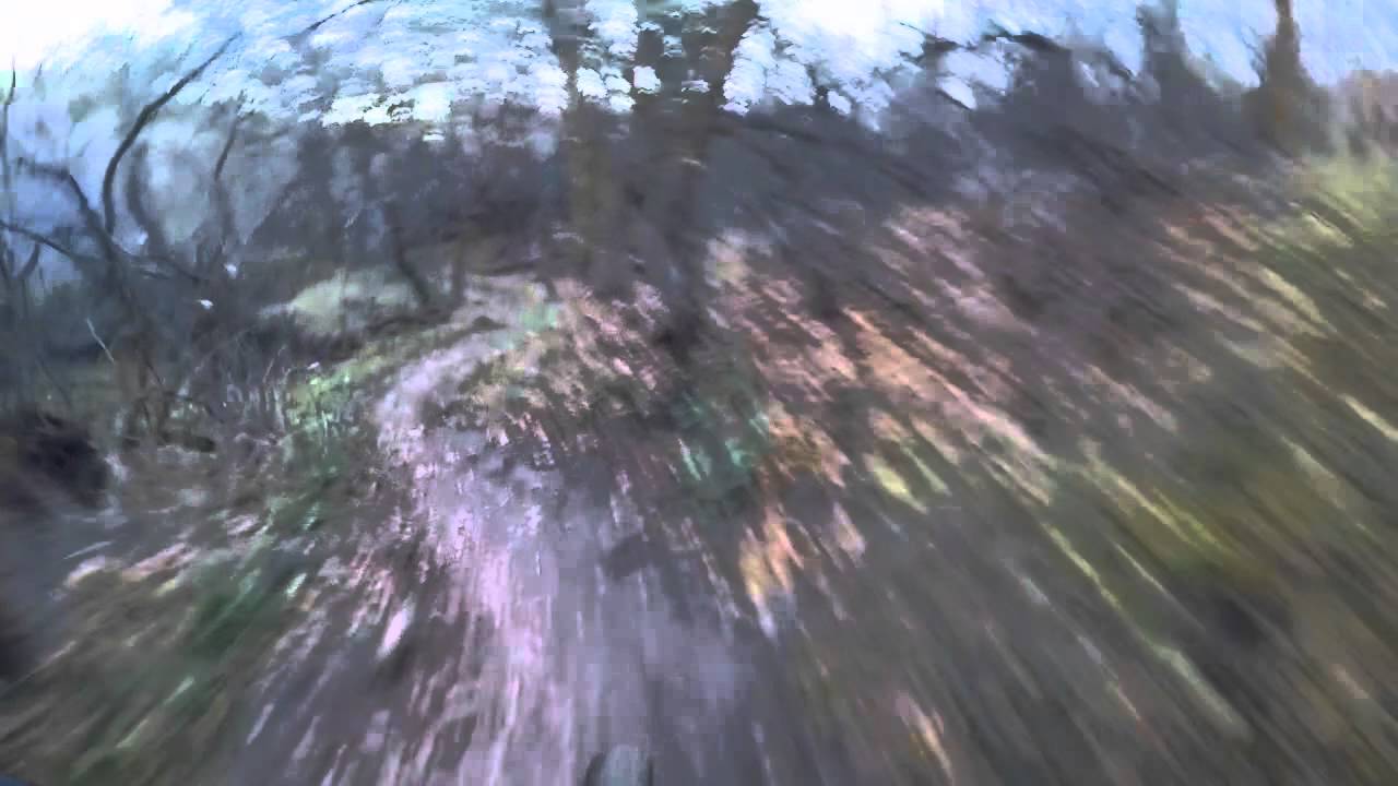 Yellow Canyon in the Fall