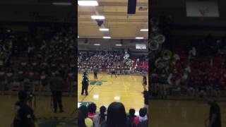 Pine forest high OOS "SOS" 2017