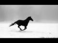 Miniature de la vidéo de la chanson Horse