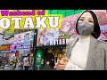 A weekend tour in akihabara and room tour of otaku lady in japan