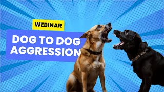 DOG to DOG AGGRESSION WEBINAR