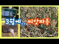[🤠ㆍ304] 모종 옴겨 심고. 3월에 씨앗파종 합니다    #씨앗파종 #주말농장
