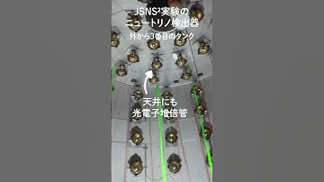 【J-PARC】JSNS²実験のニュートリノ検出器の外から3番目のタンクの中のようす【ひっぐすたん】