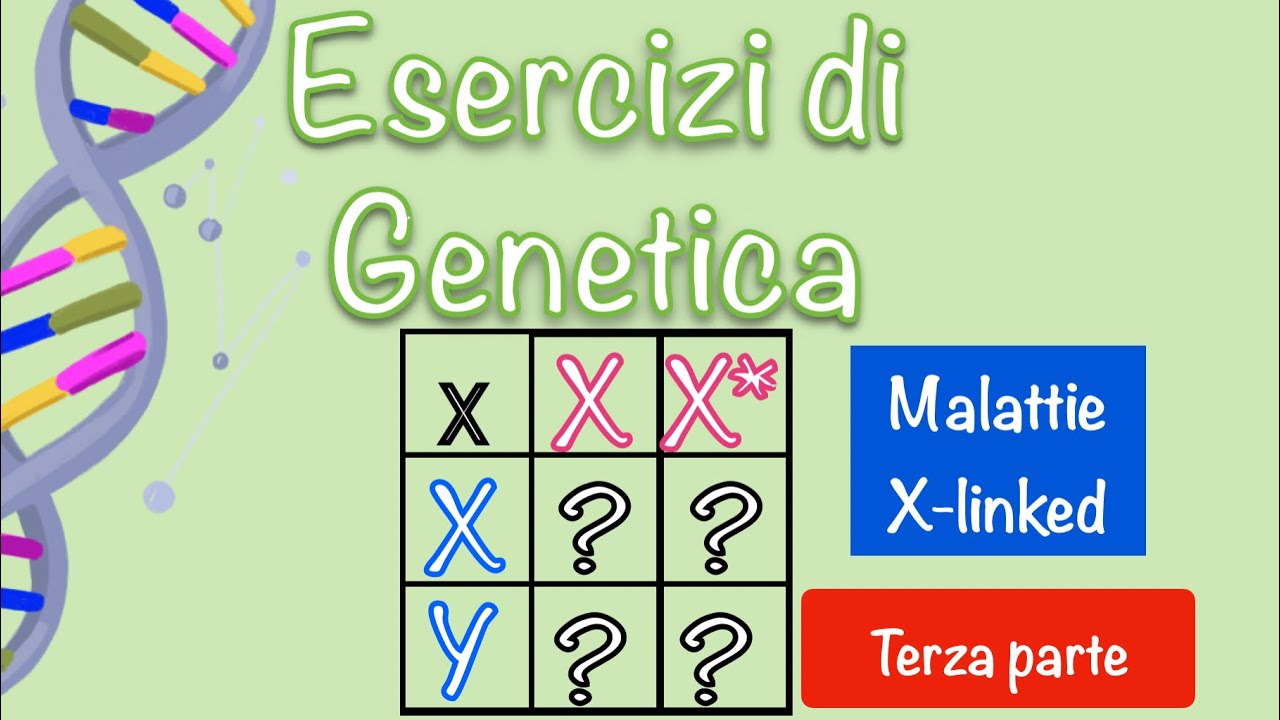 Esercizi di genetica - Malattie X-linked - leggi di Mendel e quadrato