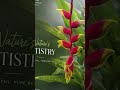 A touch of tropical beauty - SmartValle