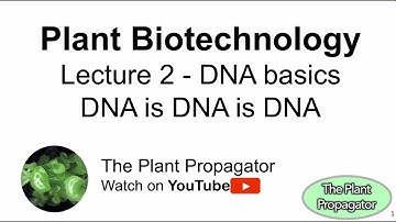 DNA basics - Plant Biotechnology - Lecture 2