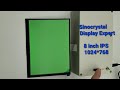8 Inch IPS LCD Display -- New Model