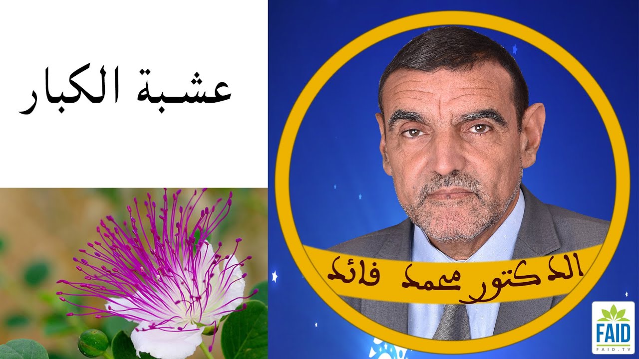 عشبة القبار | الدكتور الفايد