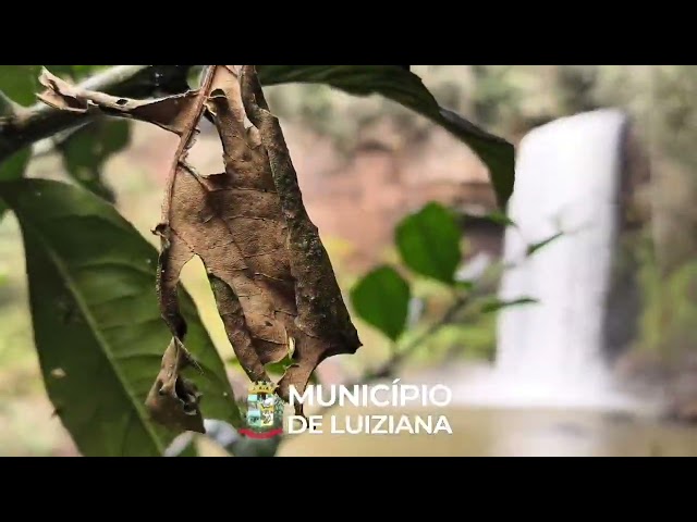 🌊 Cachoeira do Rio Campina: um espetáculo natural em Luiziana 🌿
