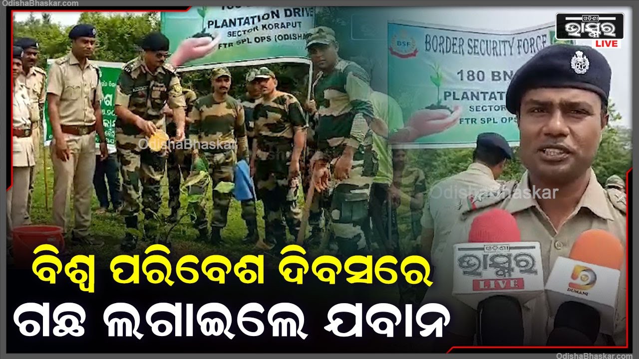 ବୈପାରିଗୁଡା ବନାଂଚଳ ପକ୍ଷରୁ ସ୍ଥାନୀୟ ୧୮୦ ବିଏନ ବିଏସଏଫ ଯବାନମାନେ ବିଶ୍ବ ପରିବେଶ ଦିବସରେ ବୃକ୍ଷ ରୋପଣ କରିଛନ୍ତି