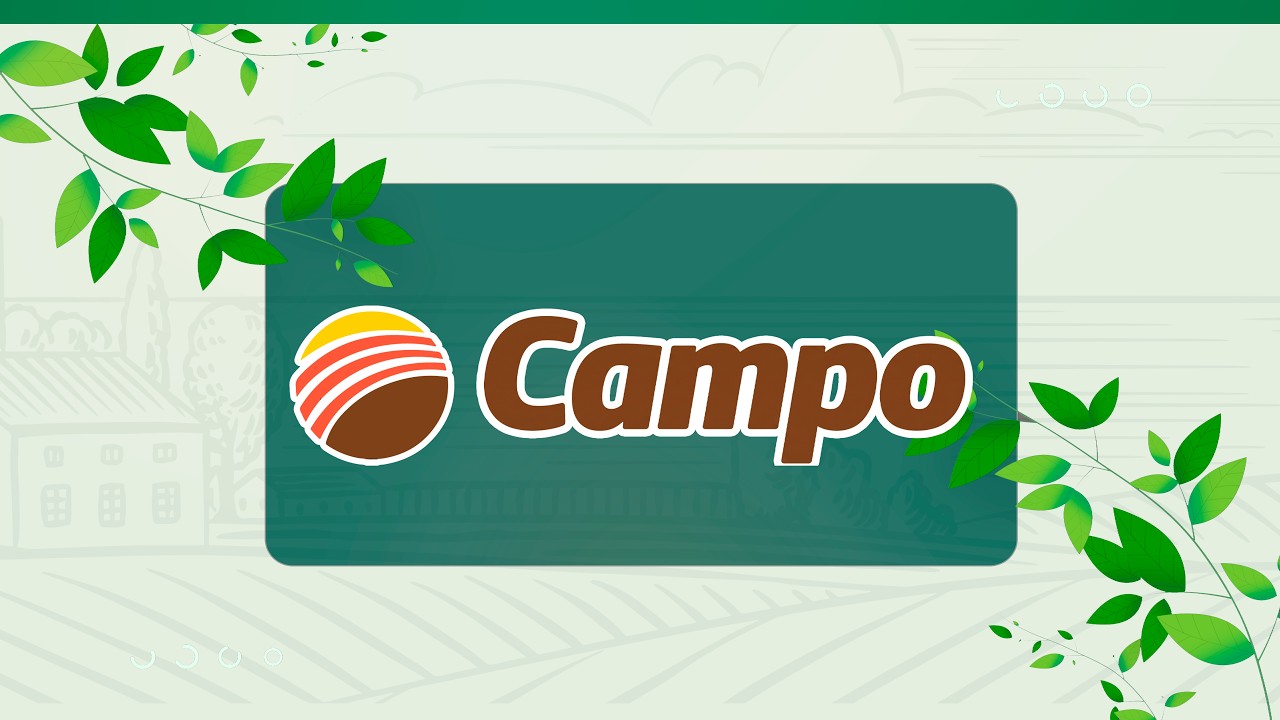 LITORAL CAMPO - 2026-08-01