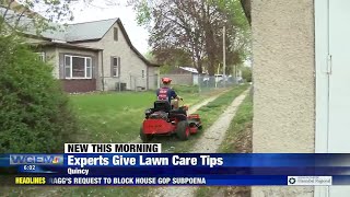 Local experts share lawn care advice (1)