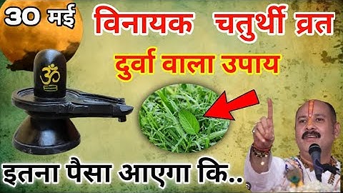 30 मई शुक्रवार विनायक चतुर्थी को दुर्वा वाला उपाय जरुर करे || Pradeep Ji Mishra