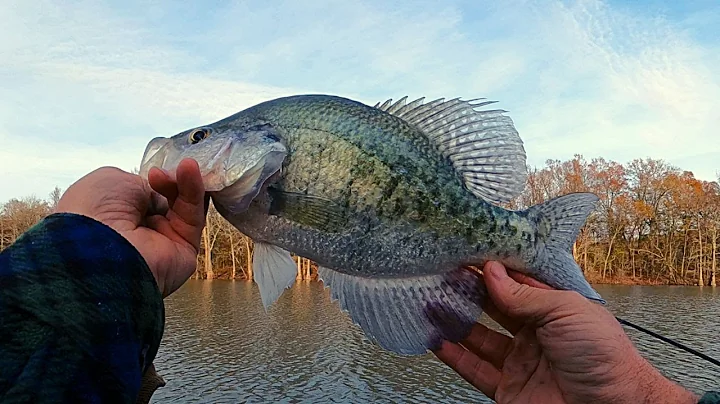 Crappie fishing  - Catching winter crappie on jigs...