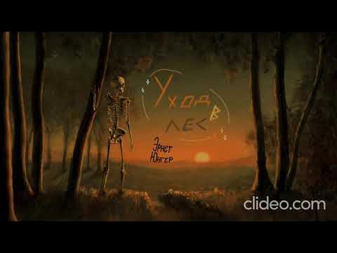 УХОД В ЛЕС Эрнст Юнгер (с 1 по 13 главы) - YouTube