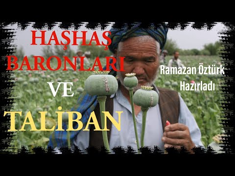 Taliban Ve Haşhaş Baronları | Kırılma Noktası