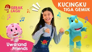 Gerak Lagu Kucing Tiga Gemuk - Dance Anak