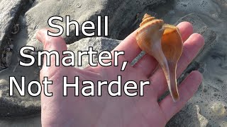 Surprise Seashells Finds in Sunset Beach, North Carolina