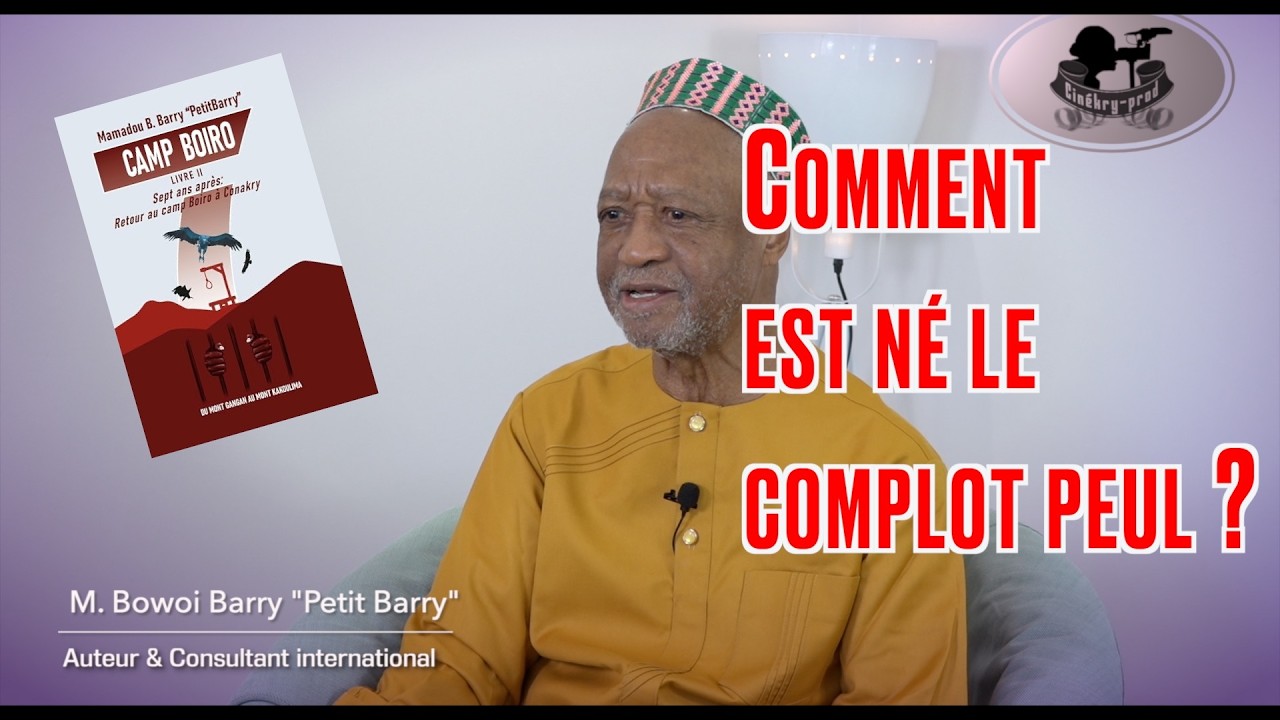 Petit Barry I Telli Diallo & Sékou Touré, entre fascination et haine. I Livre 2 I Partie 9