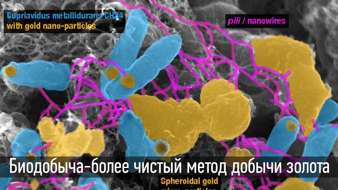 Электронный мусор как альтернатива золотой шахте